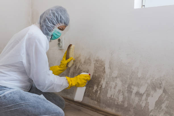 Best Certified Mold Removal  in Oakwood, GA