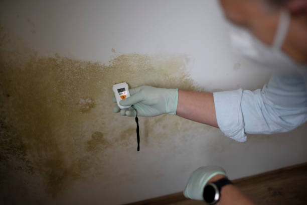 Best Residential Mold Removal  in Oakwood, GA