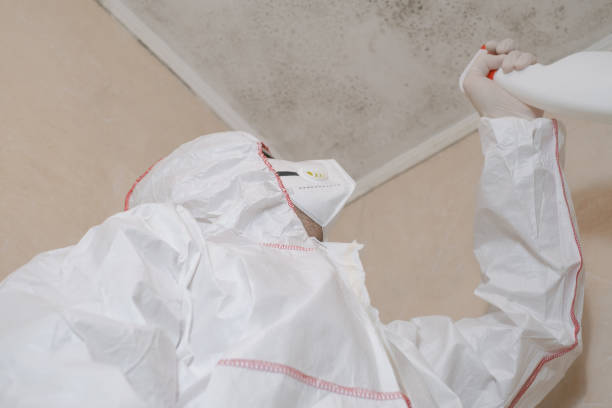 Best Fast Mold Removal  in Oakwood, GA