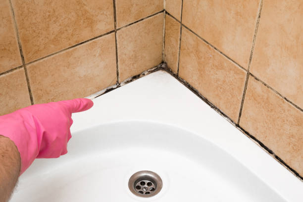 Best Professional Mold Removal  in Oakwood, GA